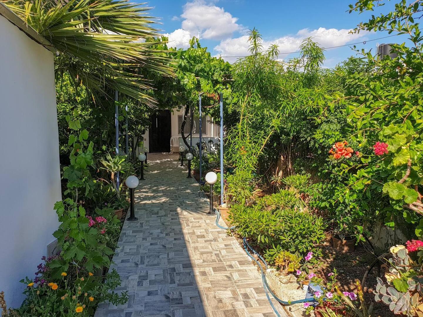Willa Maria'S House, With Garden Kalamaki  Zewnętrze zdjęcie